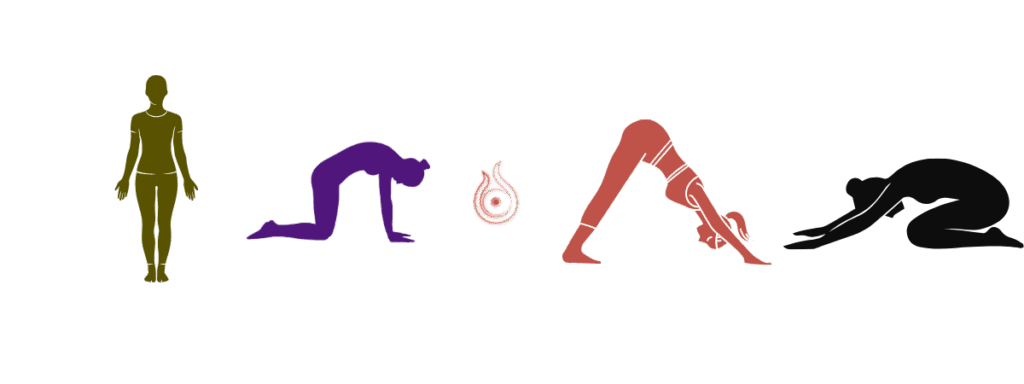 Asanas para iniciantes